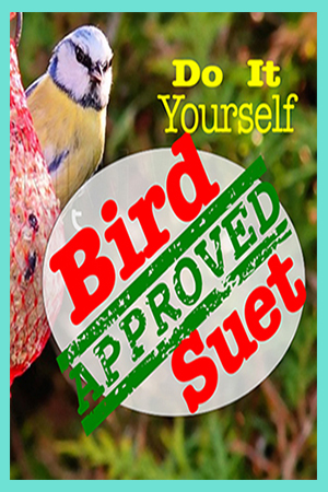 Bird Approved Suet