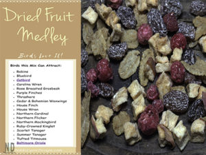 Dried Fruit Medley Bird F...