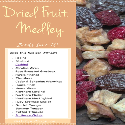 Fruit Medley Bird Food Recipe