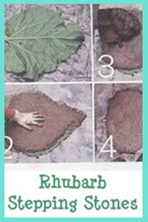 How to Make Rhubarb Stepping Stones