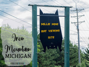 Millie Mine Bat Viewing S...