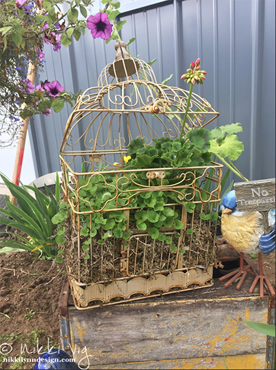 Old Bird Cage Garden Planter