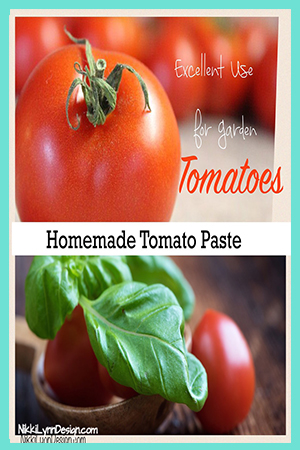 Homemade Tomato Paste