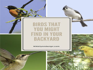 Birds You May Find in You...