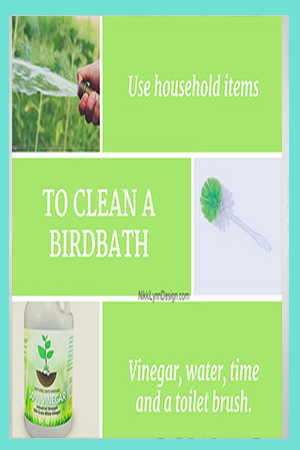 How to Clean a Bird Bath