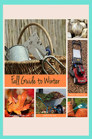 Guide to Get You Ready for Winter in Fall