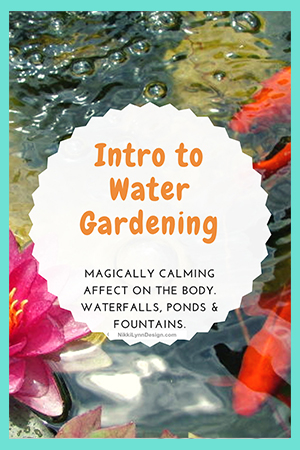 Introduction to Making a Water Garden