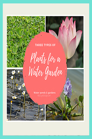 Plants for Water Gardening