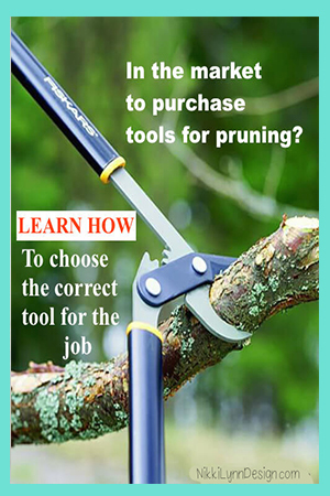 Pruning Tools - What tools are needed to prune your plants properly.