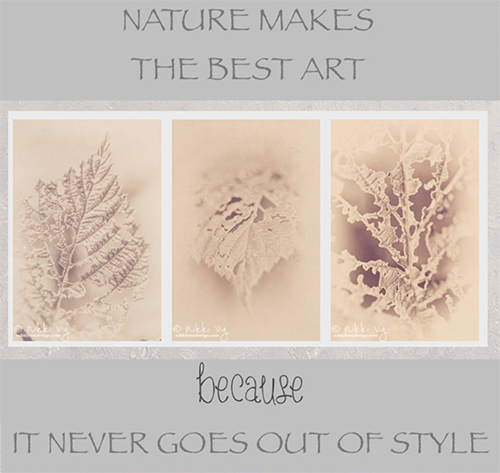 Antiqued Vintage Leaves Collection - heavy grain & an antique finish pull these images together. There are 3 prints in this fine art wall collection.