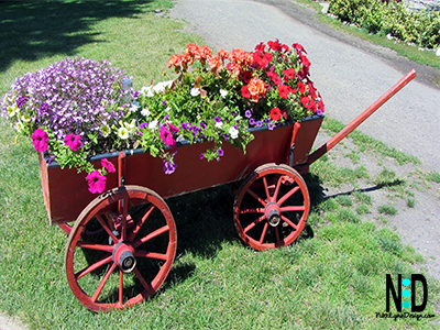 Just Humming Along Flower Garden Planter - Feeding garden stations on wheels are so it is easy to pull into the garage in cases of frost. Go ahead plant your flowers in early spring and wheel them in at night.