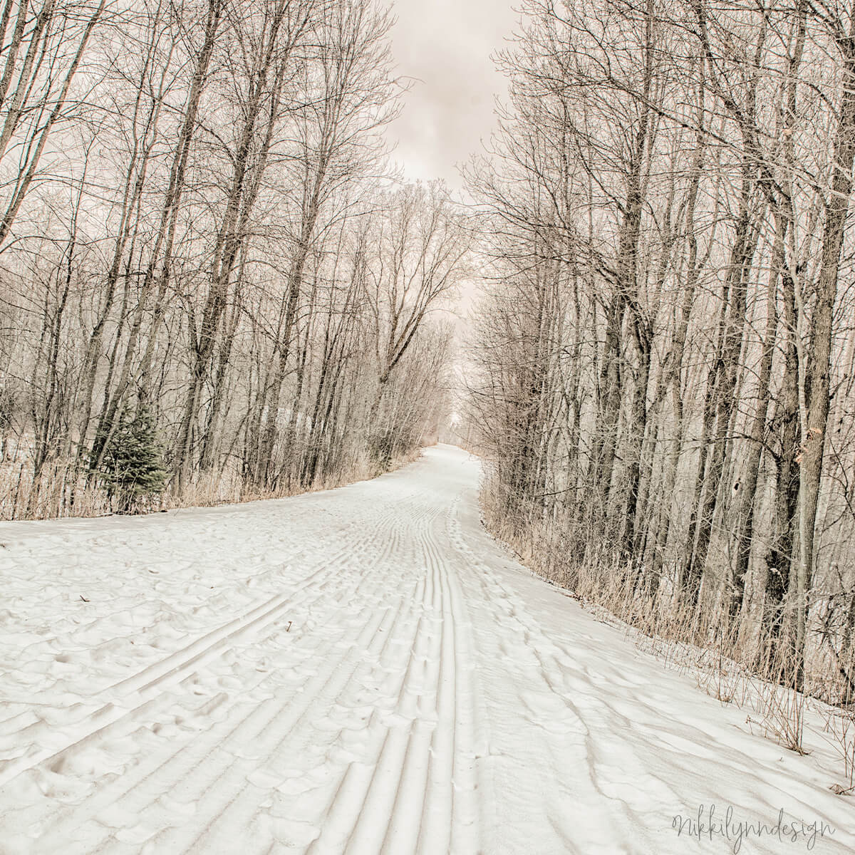 Snow-covered trail for snowshoeing at Neshota Park near Denmark Wisconsin.