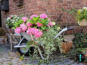 Go Big or Go Home Wheelbarrow Planter