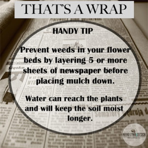 Newspaper Barrier Prevents Weeds Garden Tip For No Weeds