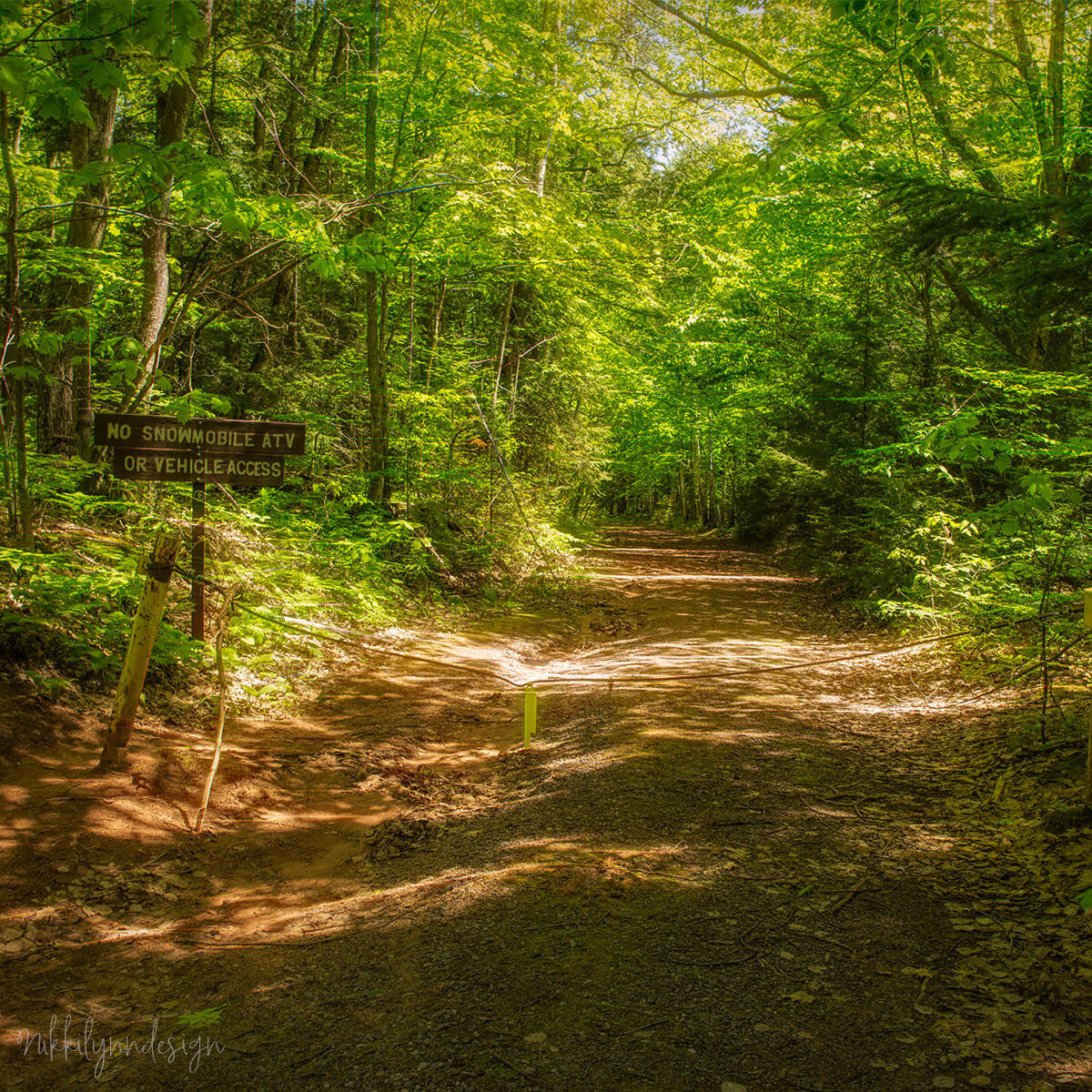 Forest trail at Frog Bay Tribal National Park in Red Cliff Wisconsin