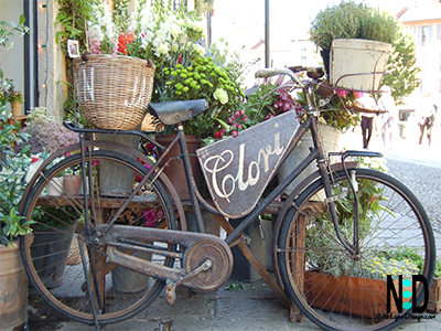 Garden Bicycle Planter