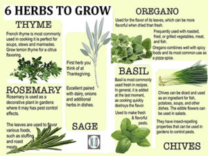 Growing Herbs