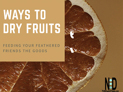 3 Ways to Dry Fruit for t...