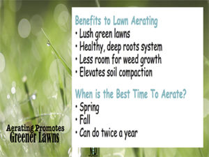 Fall Lawn Aerating Promot...