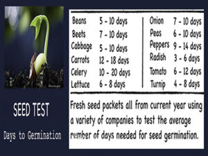 Testing Seed Germination