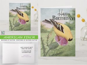 American Goldfinch Vintag...