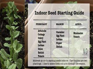 Choosing Healthy Garden P...