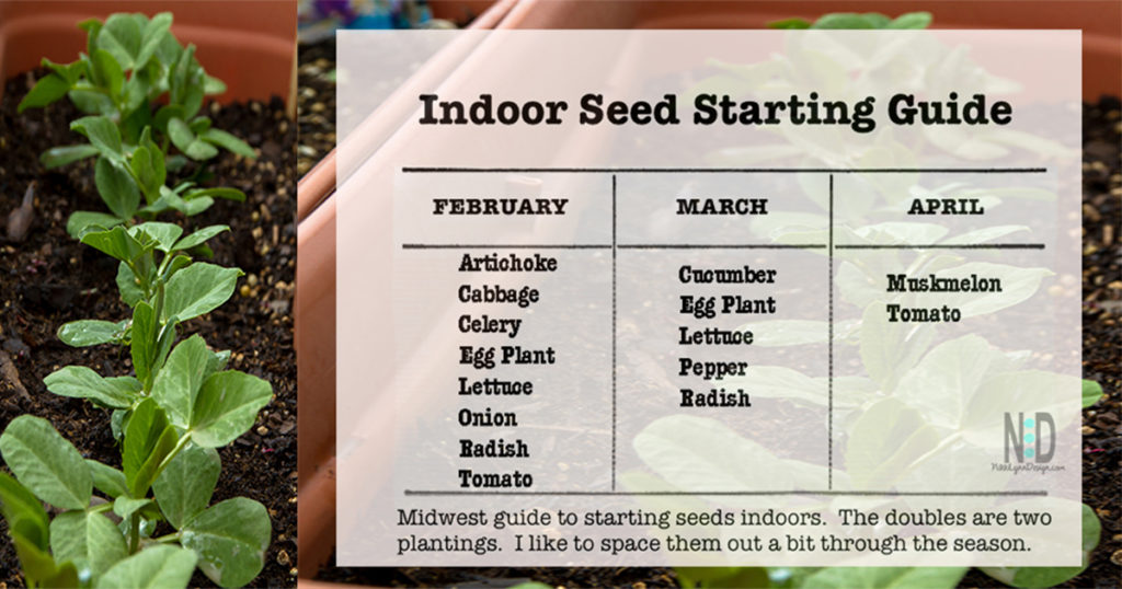 Choosing healthy garden plants or growing seeds