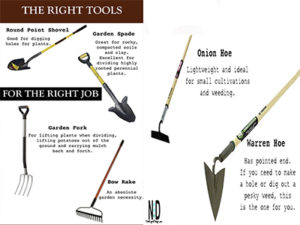 Picking the Right Gardeni...