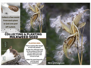 Collecting and Planting M...
