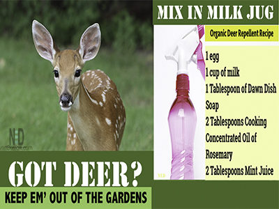 Organic Deer Plant Repell...