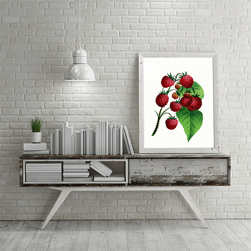 Vintage Delicable Fruit Kitchen Art