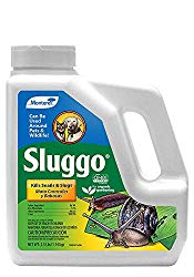 Sluggo-This-product-is-very-easy-to-use-you-simply-sprinkle-it-around-your-plants-and-create-little-circles-of-doom.