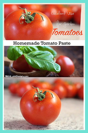 How To Make Tomato Paste