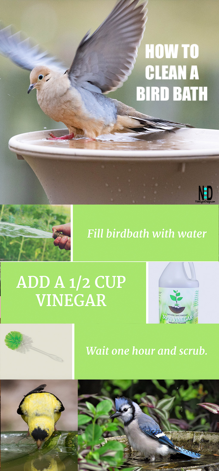 How to Clean a Birdbath Nikki Lynn Design