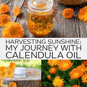 Harvesting Sunshine: My J...