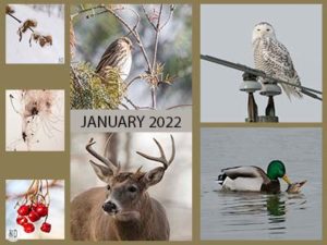 January