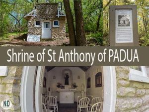 Shrine of St Anthony of P...