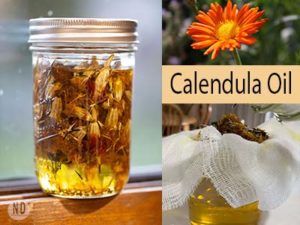 Calendula Oil