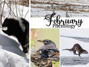 February