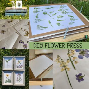 DIY Flower Press