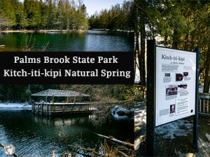 Palms Brook State Park Ki...