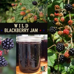 Wild Blackberry Jam