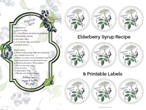 Elderberry Syrup Recipe a...