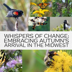 Whispers of Change: Embra...