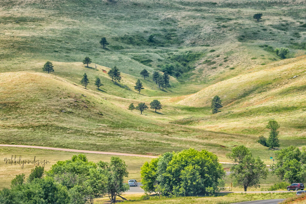 Rolling prairie hills along Wildlife Loop Road in Custer State Park, South Dakota